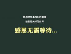 开云体育官网-方向盘与篮球，双重变奏曲