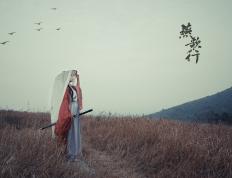 开云体育-双星记，当哈兰德点燃赛场时，冰岛在另一个时空狂胜塞内加尔