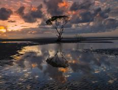 开云体育登录-武切维奇30+15打碎质疑，鹈鹕攻防碾压力克西部劲旅快船