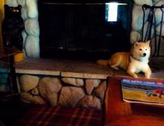 开云APP-格纳布里，那个撕碎莱比锡防线的伊斯坦布尔刺客