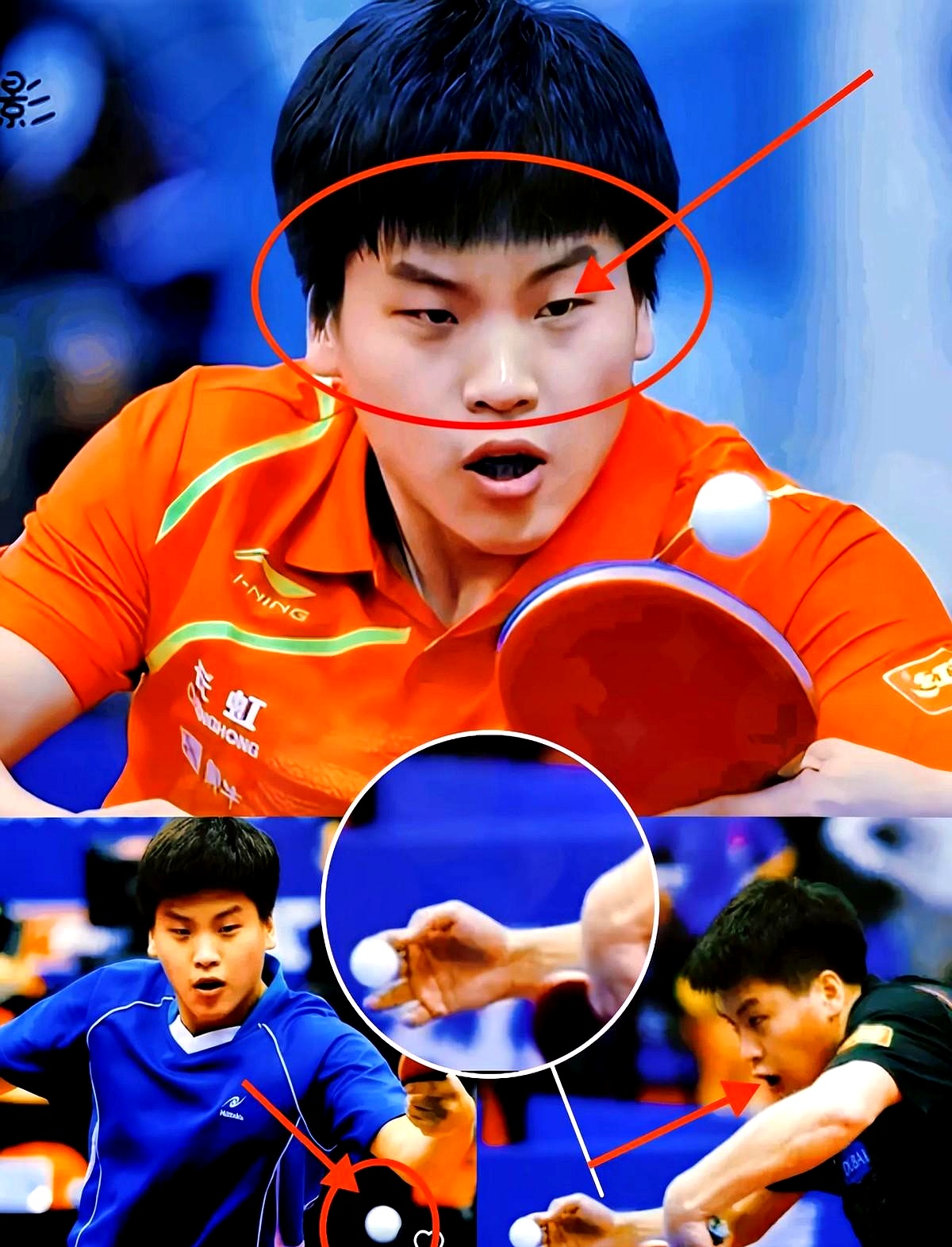 开云体育-比利时乒乓球队碾压瑞典乒乓球队，张继科关键制胜的简单介绍