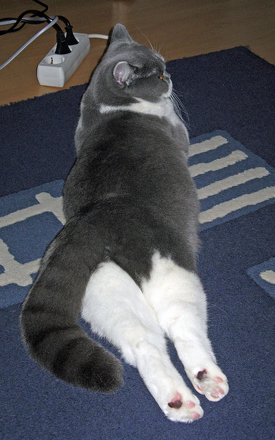 开云体育登录-活塞粉碎马刺迎新生,爱德华兹关键先生正名时—狼性觉醒撕裂圣城防线