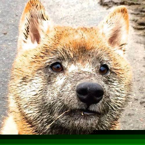 开云体育APP下载-单节审判！热火狂潮席卷76人，克莱神射提前终结悬念