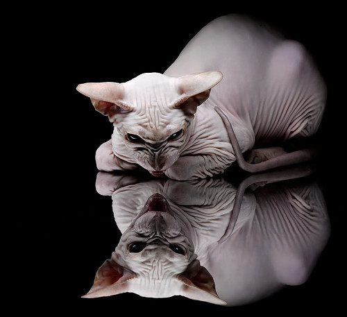 开云下载-英格拉姆狂飙难敌团队爆发，辽宁队一波流带走热火胜局