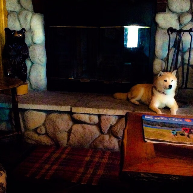 开云体育官方网站-绿茵硝烟，当体育沦为民族主义的角斗场