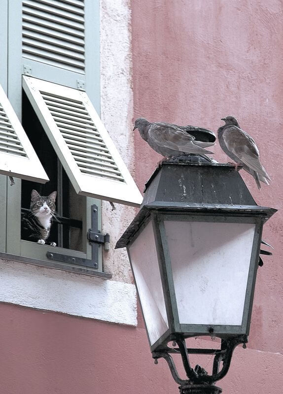 开云体育中国-独舞破晓,当贝林厄姆在争冠交响乐中奏响最强音