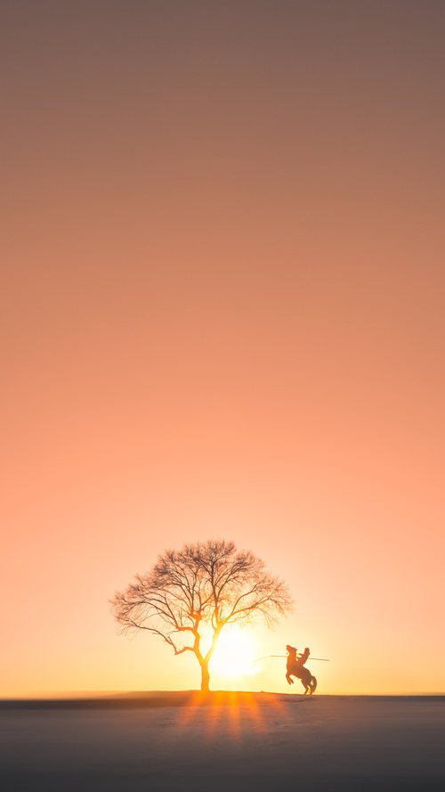 开云体育平台APP-征途，西亚卡姆致命一击改写剧本，灰熊客场虎口拔牙