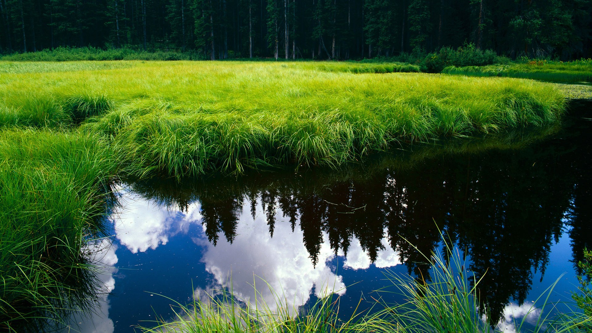 开云体育下载-西决生死战！苏格兰队史诗级逆转，击碎阿根廷36年不败神话
