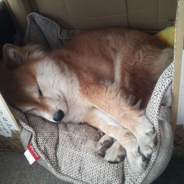 开云体育app-银河倒悬时，库里在年度焦点之夜的引力法则