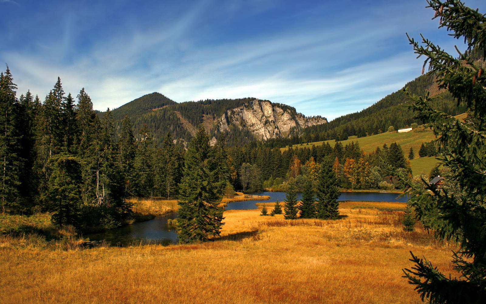 开云APP-非洲雄鹰展翅，巴尔干孤星闪耀，世界杯赛场上的冰与火之歌