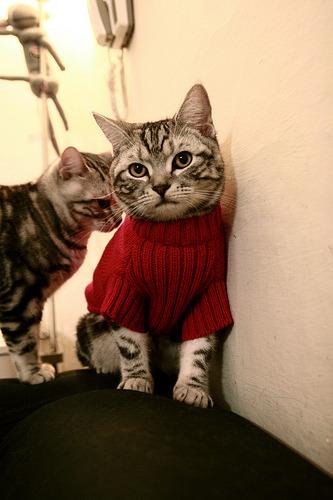 开云APP-格纳布里的第七军团，当现代足球打穿古罗马防线