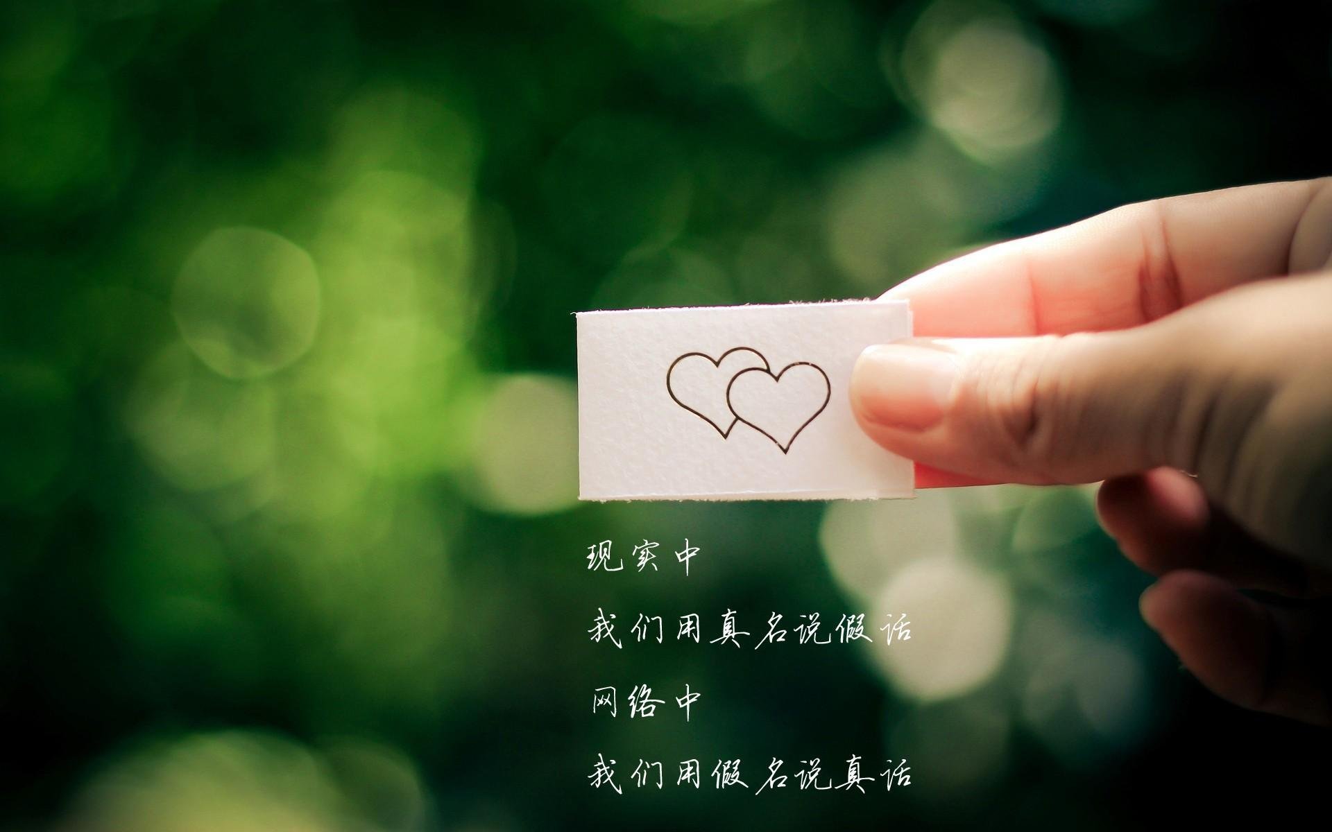 开云体育登录-欧冠半决赛焦点战侧记,森林狼横扫广厦队,篮球全球化浪潮下的震撼对决