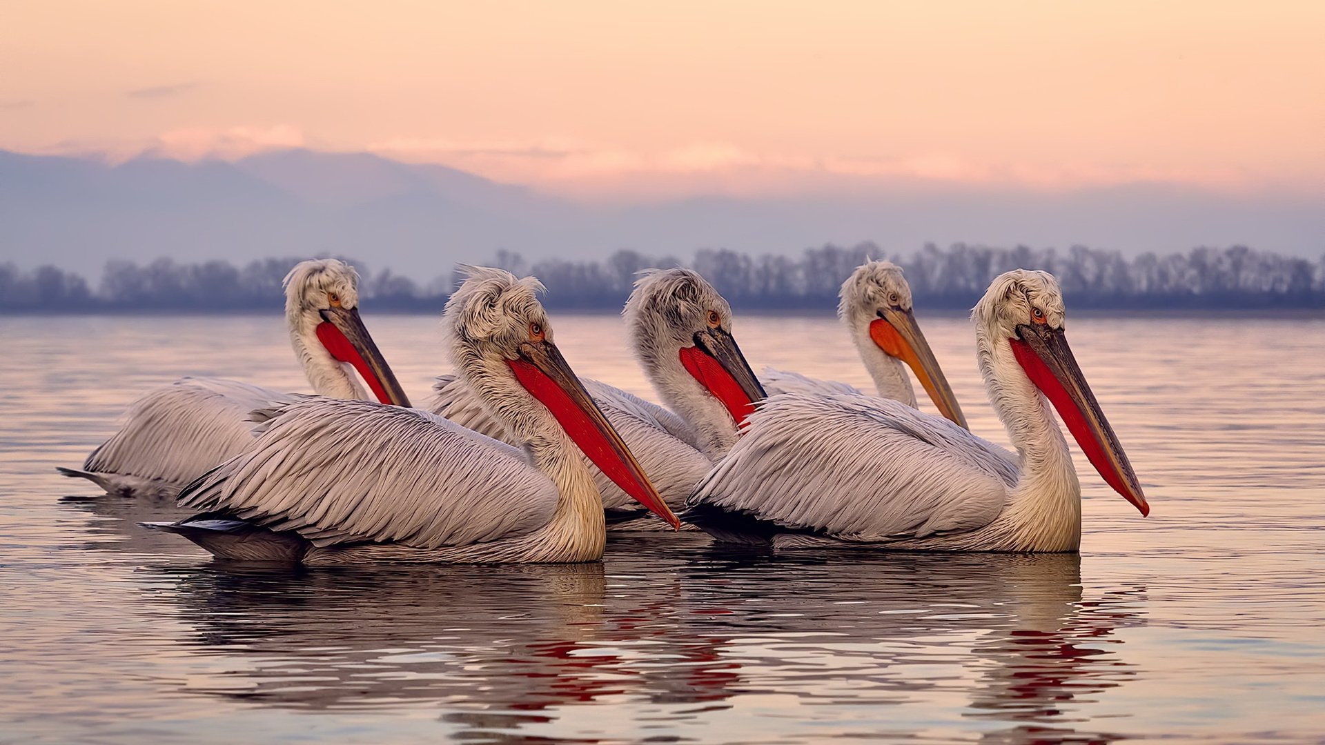 开云官网-2026世界杯焦点战，勇士粉碎雄鹿，绿茵场上的史诗对决