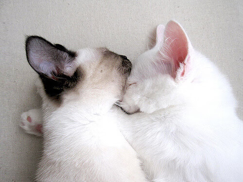 开云APP-格纳布里，那个撕碎莱比锡防线的伊斯坦布尔刺客